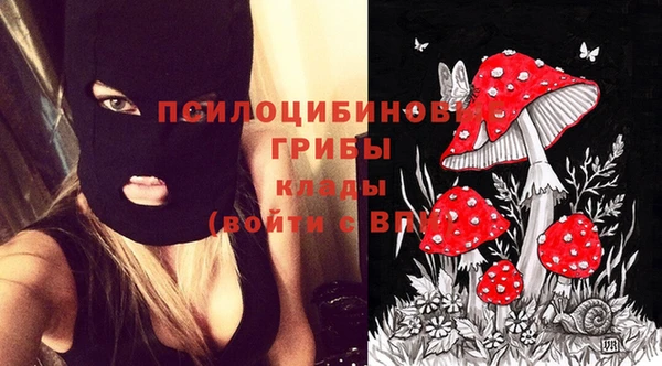 не бодяженный Абаза