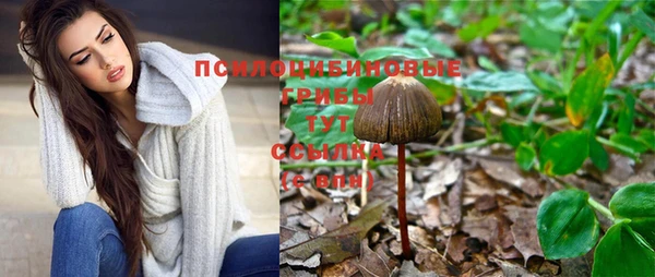 не бодяженный Алексин