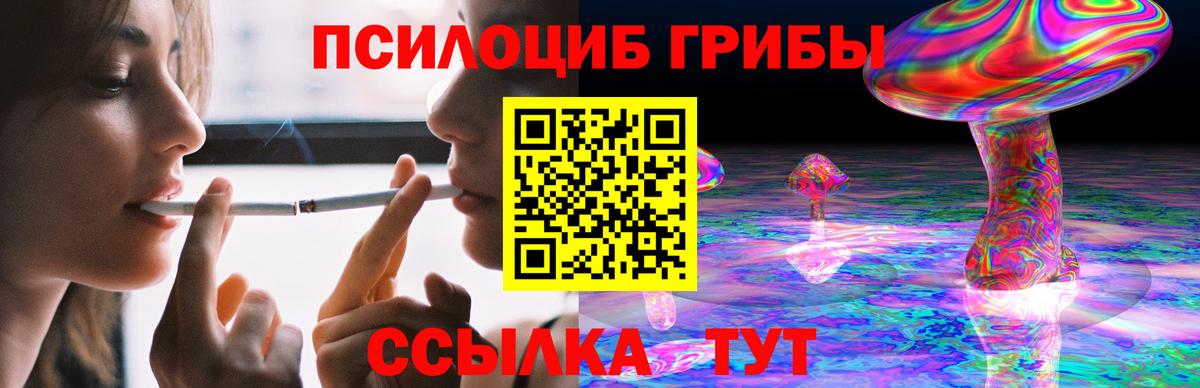 Красный Сулин  Галлюциногенные грибы Psilocybe  Вход с VPN 